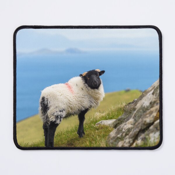 Item preview, Cute sheep on the hills of Achill Island, County Mayo on the west coast of the Republic of Ireland   designed and sold by AlbertMi.