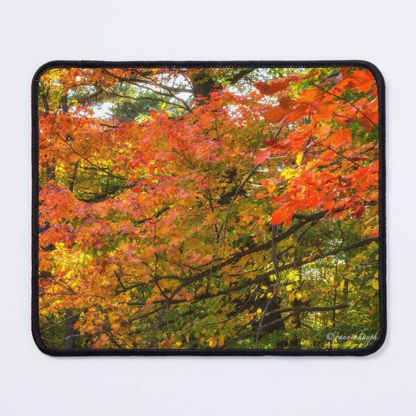 Item preview, Autumn Colours - MacKenzie-King Estate designed and sold by Yannik Hay.