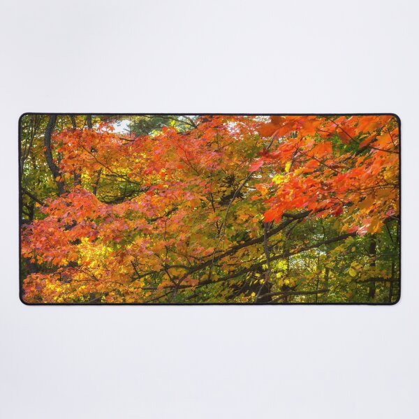 Item preview, Autumn Colours - MacKenzie-King Estate designed and sold by Yannik Hay.