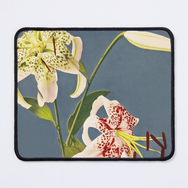 Item preview, Retro Japanese Flower Lilies (1897) by Kazumasa Ogawa designed and sold by Designedbysm.