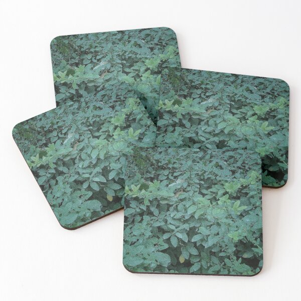 Item preview, Jungle leaves pattern designed and sold by maisiriva.