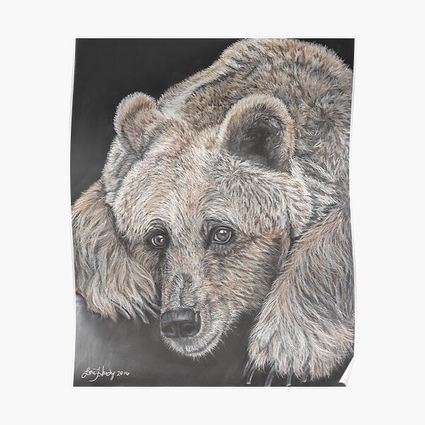 Grizzly Bear Cub Drawing Poster By Mikejory Redbubble