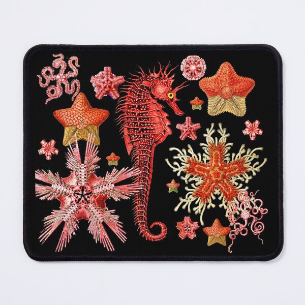 Item preview, RED SEAHORSE AND SEASTARS IN BLACK Sea Life designed and sold by BulganLumini.