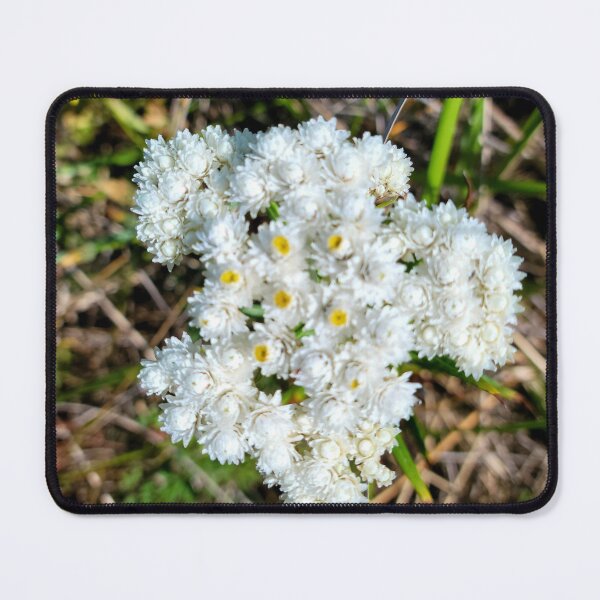 Item preview, Mini White Flowers designed and sold by Djjin66.