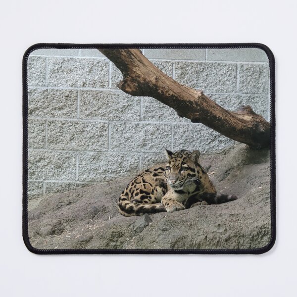 Item preview, Spotty Leopard designed and sold by Djjin66.