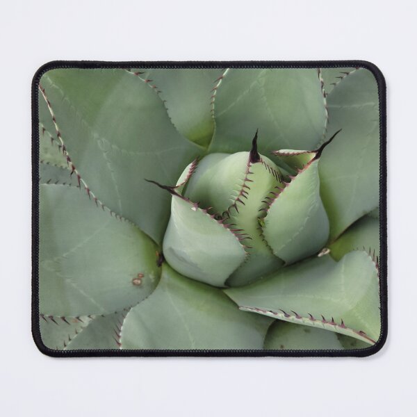 Item preview, Spiky Succulent  designed and sold by Djjin66.