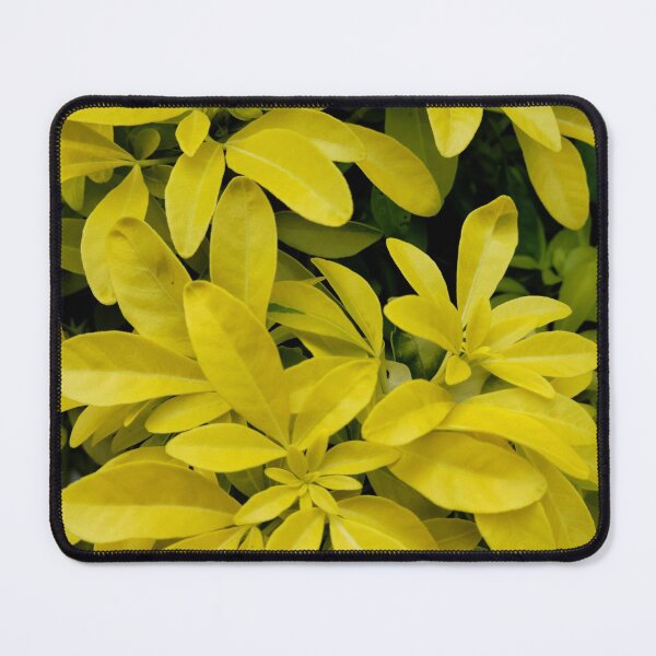 Item preview, Leafy Gold designed and sold by Djjin66.