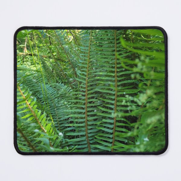 Item preview, Green Fern Leaves designed and sold by Djjin66.