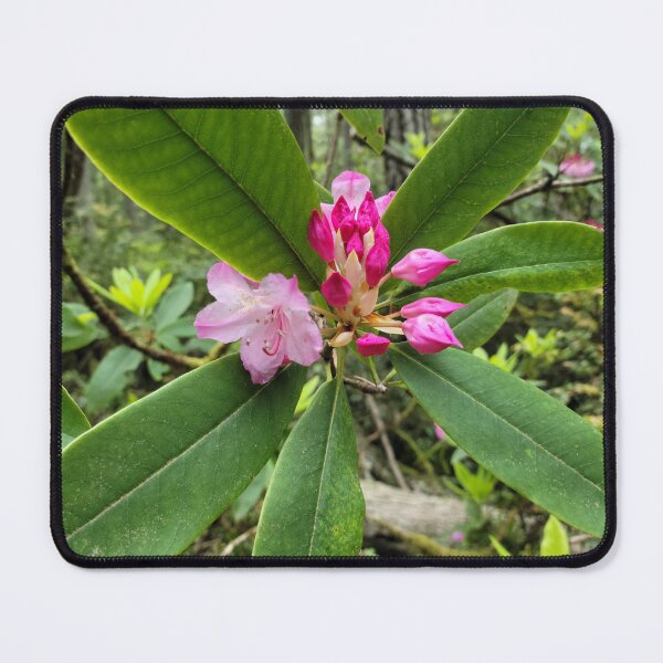 Item preview, Pink Rhody Flowers designed and sold by Djjin66.
