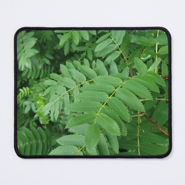 Item preview, Almost Fern designed and sold by Djjin66.