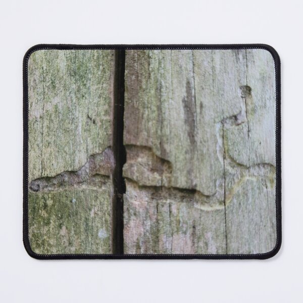 Item preview, Little Tree Trail designed and sold by Djjin66.