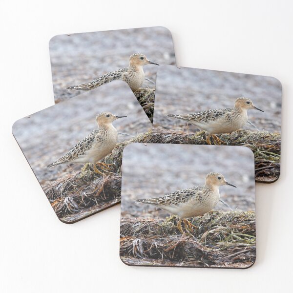 Item preview, Buff-Breasted Sandpiper at the Beach designed and sold by walkswithnature.