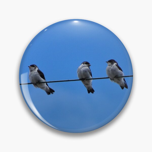 Item preview, Three Tree Swallows on a Wire designed and sold by Kelley-Art.