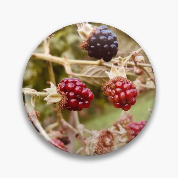 Artikelvorschau, Brombeeren Nahaufnahme Sommer entworfen und verkauft von VitoTDesign.