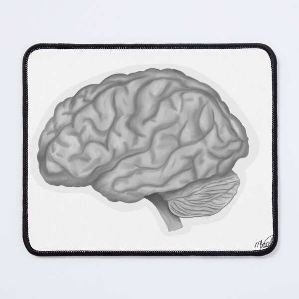 Item preview, Human Brain Sketch designed and sold by abioblog.
