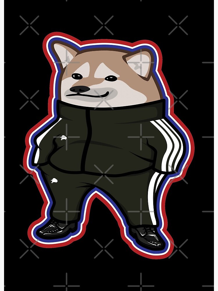 Slav Cat / Slav Cheebs