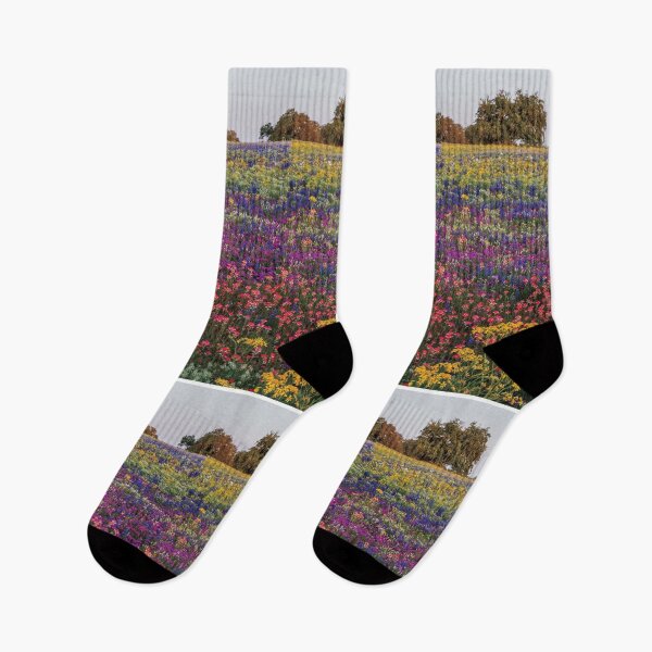 Item preview, Rainbow flower field  designed and sold by Keny13.