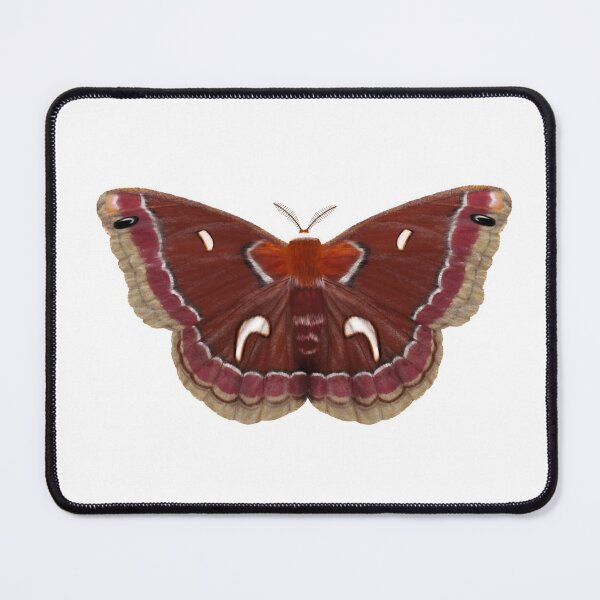 Item preview, Ceanothus Silkmoth designed and sold by Fernheart Designs.
