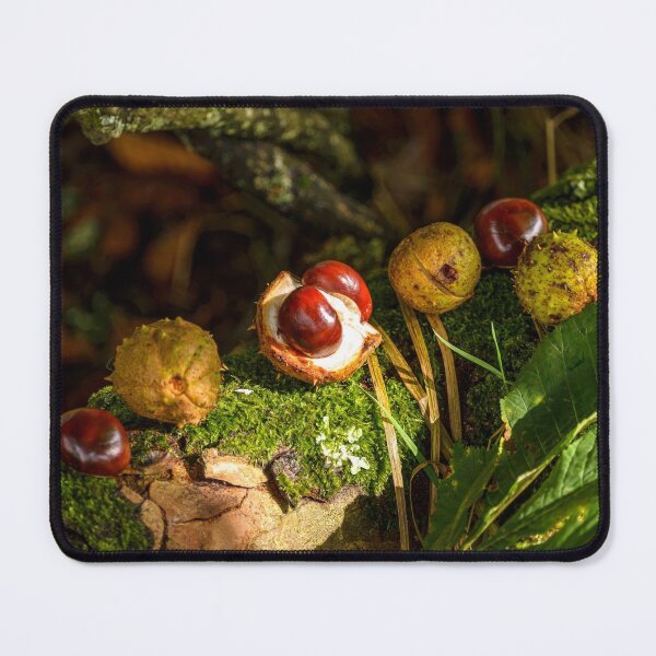 Item preview, Chestnut, conker in autumn forest designed and sold by AlbertMi.