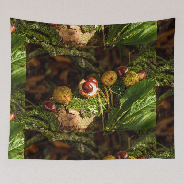 Item preview, Chestnut, conker in autumn forest designed and sold by AlbertMi.