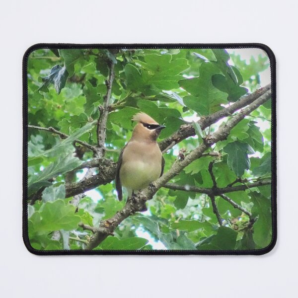 Item preview, Cedar Waxwing Bird in Oak Tree designed and sold by Kelley-Art.