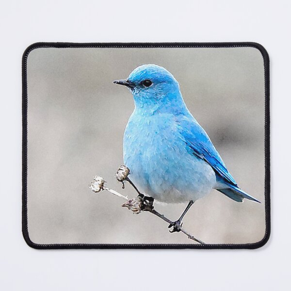 Item preview, Mountain Bluebird on the Tansy designed and sold by walkswithnature.