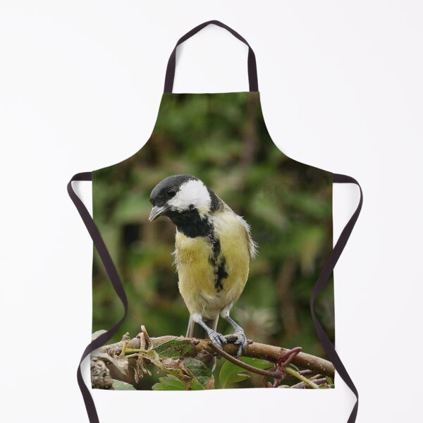 Item preview, r-1046 / New Finition 2021 -- Mésange - (c)(t) Olavia-Olao Okaio Créations designed and sold by o.okaïo.