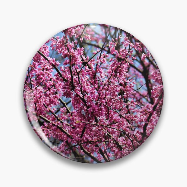 Item preview, Redbuds designed and sold by CJGrimes.