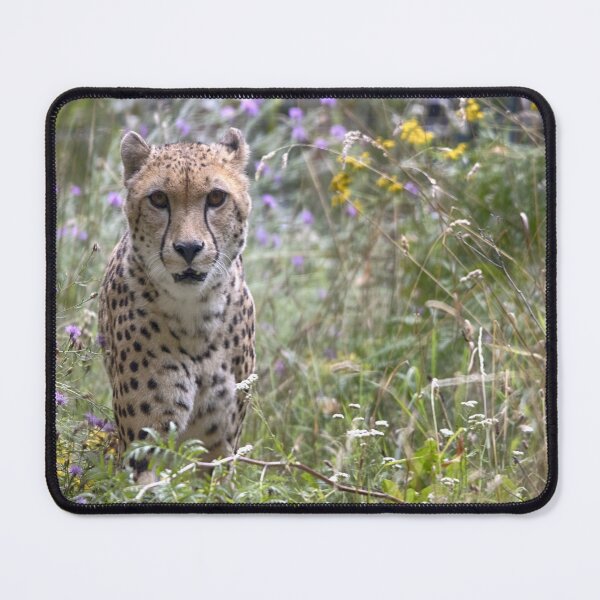 Item preview, Acinonyx jubatus designed and sold by Mythos57.