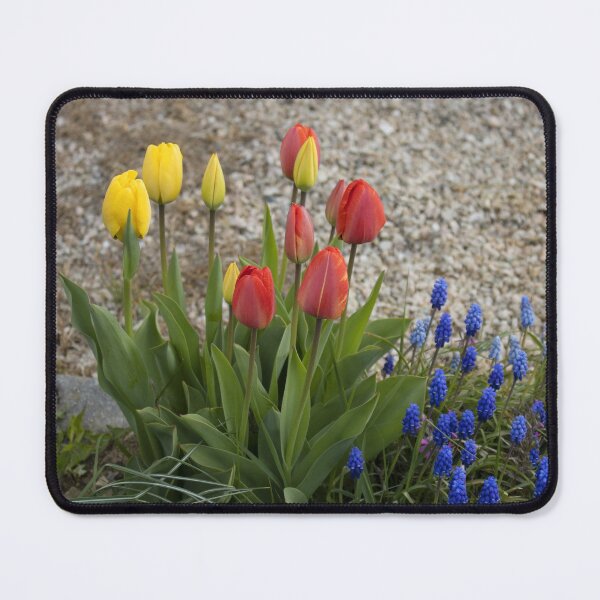 Item preview, Tulips designed and sold by Mythos57.