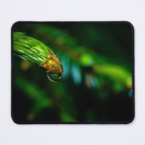 Item preview, Macro shot of a reflective drop of water on a pine branch in an Irish forest park in the morning designed and sold by AlbertMi.