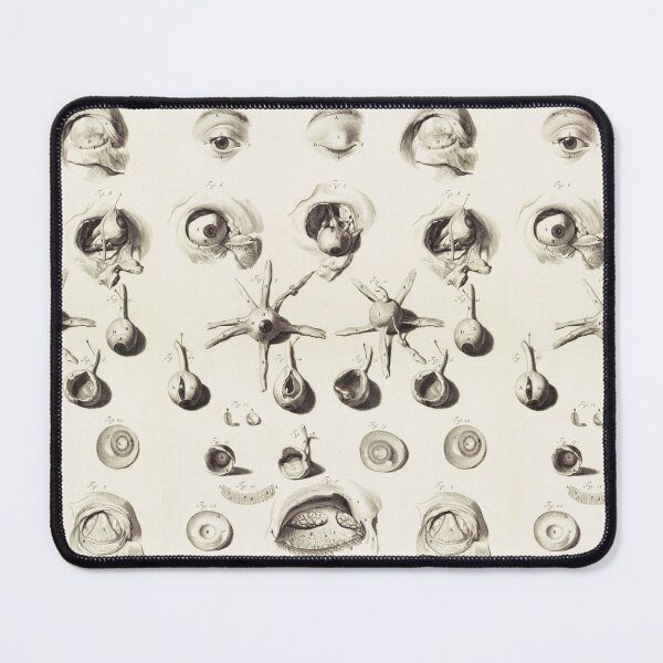Item preview, Antique Anatomical Study ,Dissection of the Eye and Socket In Black White designed and sold by BulganLumini.