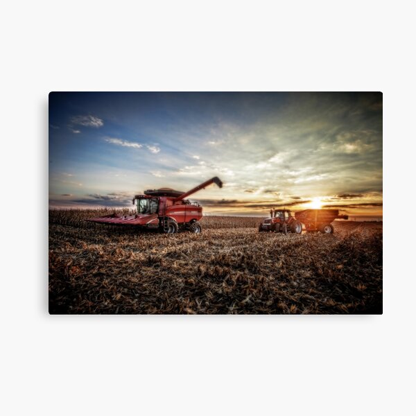 Harvesting at Sunset Canvas Print