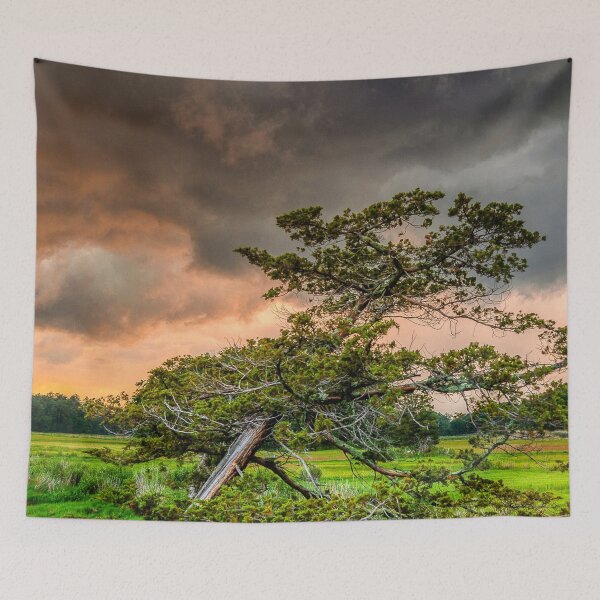 Artikelvorschau,   Panorama, Breitbilddrucke, Leinwand, Wandposter, Wandteppiche, Wandteppiche, Überwurfdecken, Bettdecken, Bettbezüge, Duschvorhänge, Wandkunst bei Sonnenuntergang, Naturszene entworfen und verkauft von eyesight4vision.