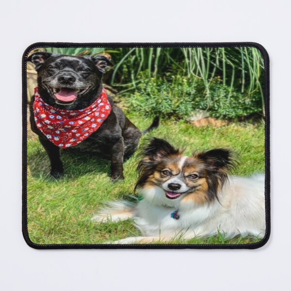 Dory & Beau Mouse Pad