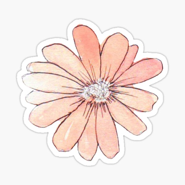 Peach Watercolor Sticker