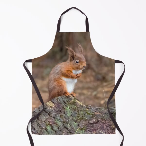 Item preview, Cute red squirrel designed and sold by HaleyRedshaw.