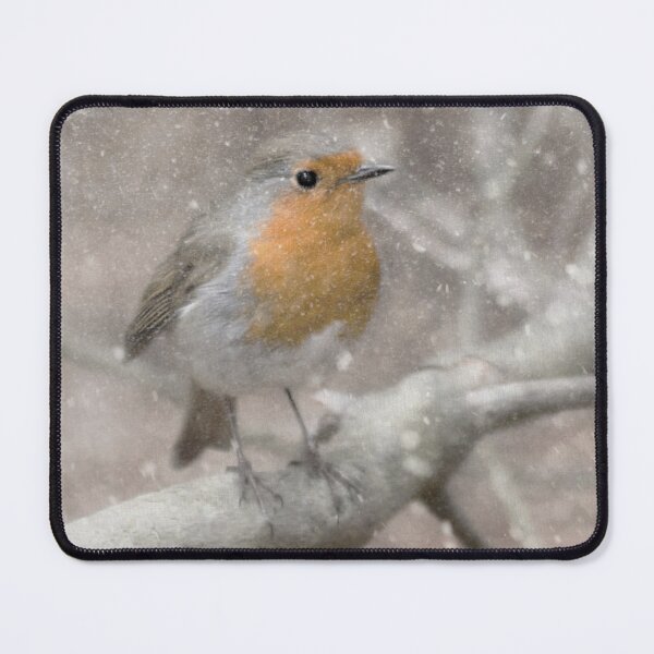 Item preview, Robin in the snow designed and sold by HaleyRedshaw.