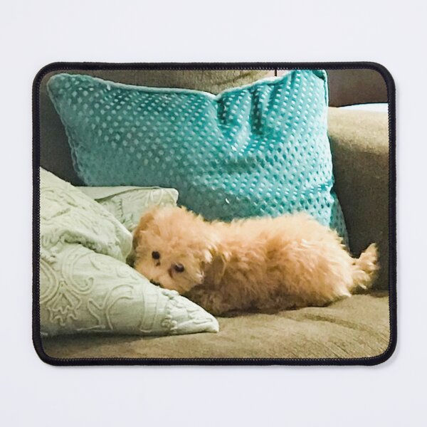 Item preview, Poodle Puppy designed and sold by ClearNight.
