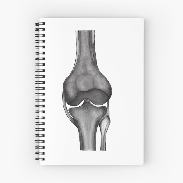 Item preview, Lower leg skeletal sketch designed and sold by abioblog.