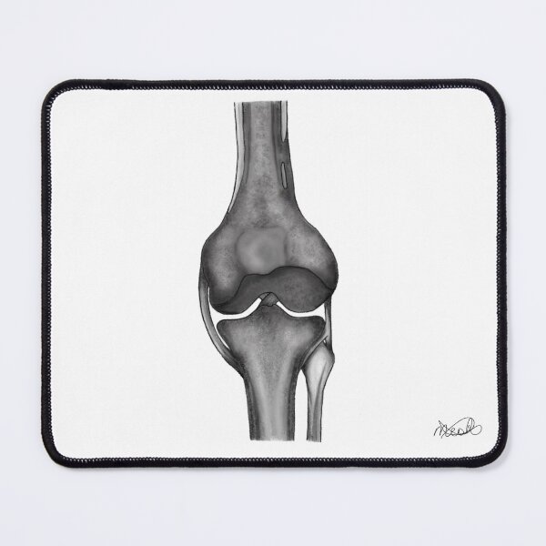 Item preview, Lower leg skeletal sketch designed and sold by abioblog.