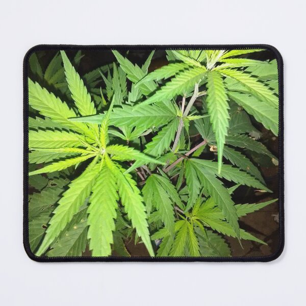 Item preview, Weed party designed and sold by Shimmon Campbell.