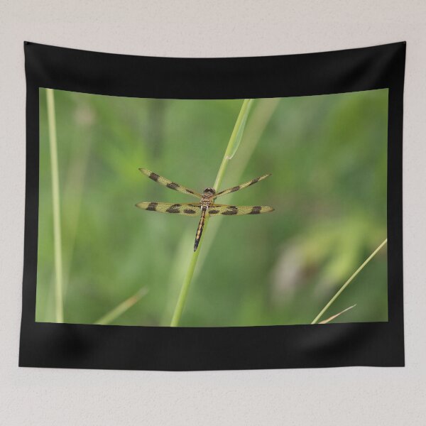 Item preview, Dragonfly Beauty designed and sold by LisaNaturePhoto.