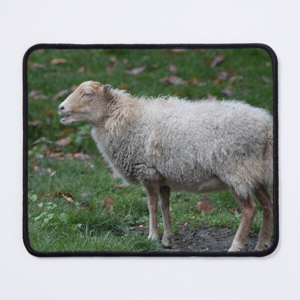 Item preview, Ouessant (or Ushant) designed and sold by Mythos57.