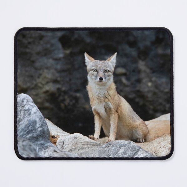 Item preview, Vulpes corsac designed and sold by Mythos57.