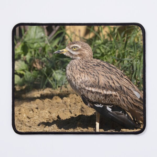 Item preview, Burhinus oedicnemus designed and sold by Mythos57.