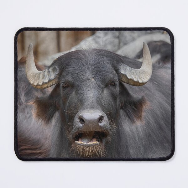 Item preview, Bubalus bubalis designed and sold by Mythos57.