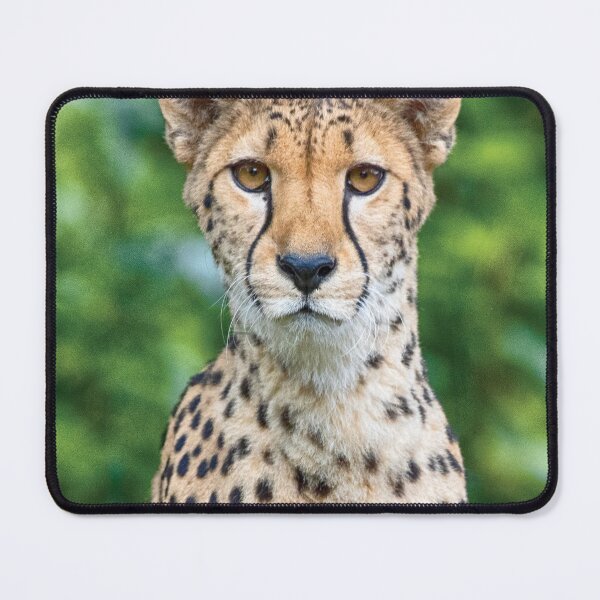 Item preview, Acinonyx jubatus designed and sold by Mythos57.