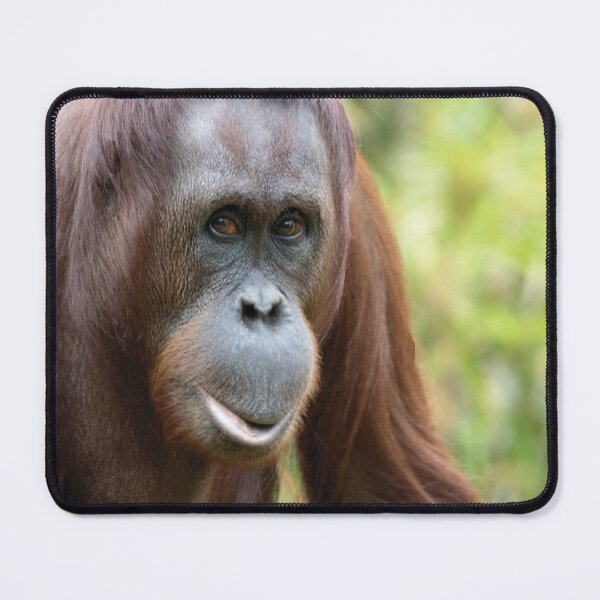 Item preview, Pongo pygmaeus designed and sold by Mythos57.