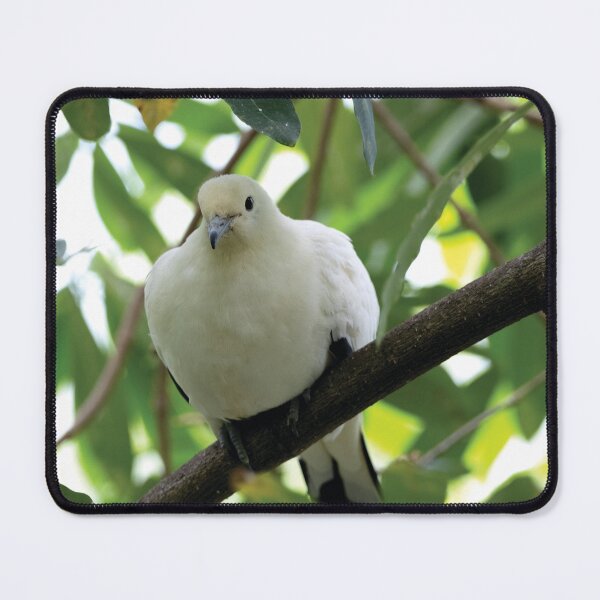 Item preview, Ducula bicolor designed and sold by Mythos57.